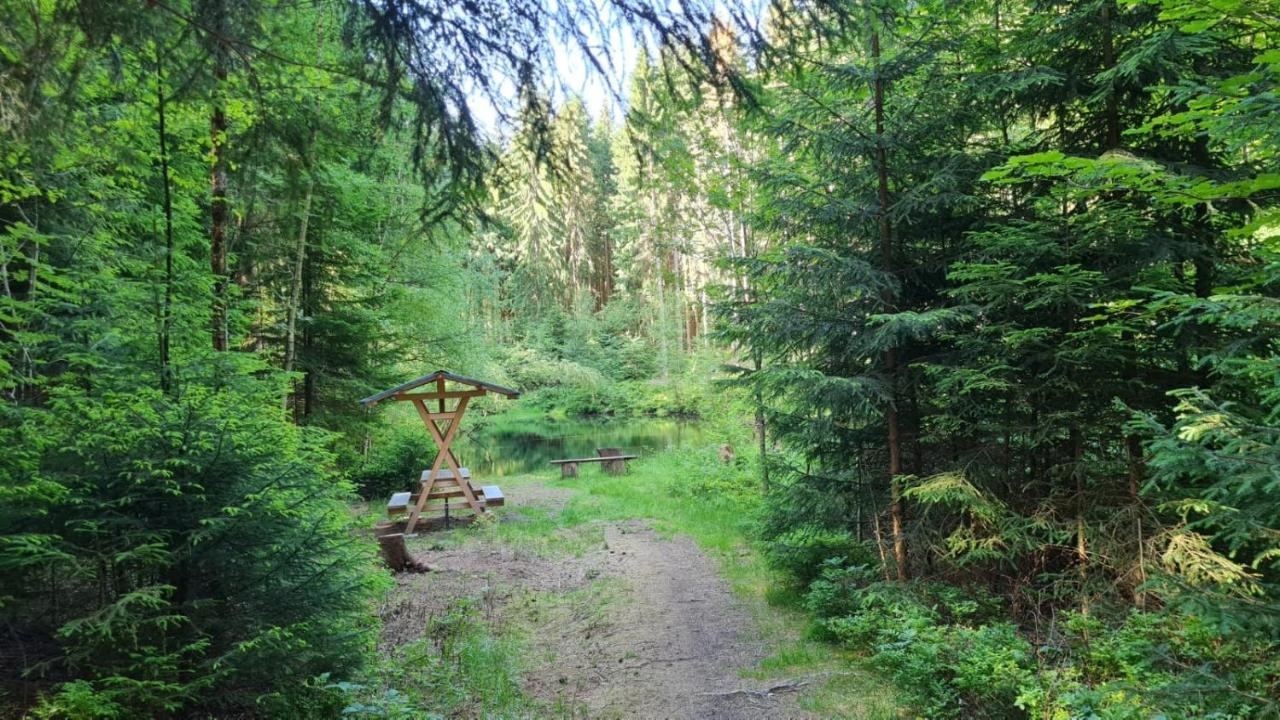 Pension Wernesgruen Exteriér fotografie