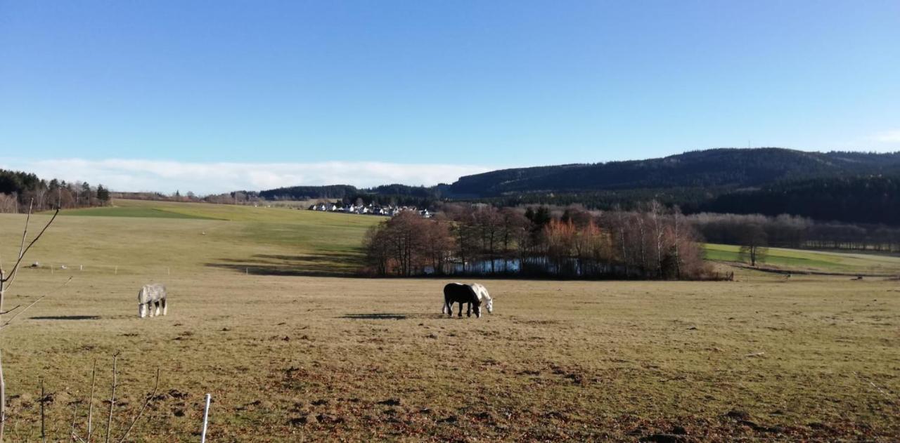 Pension Wernesgruen Exteriér fotografie