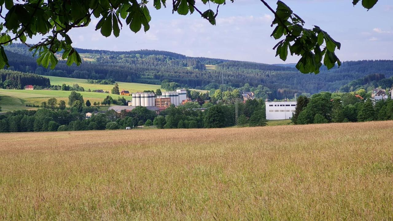Pension Wernesgruen Exteriér fotografie